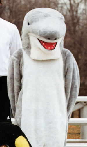 Shark.png