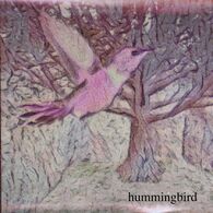 Hummingbird.jpg