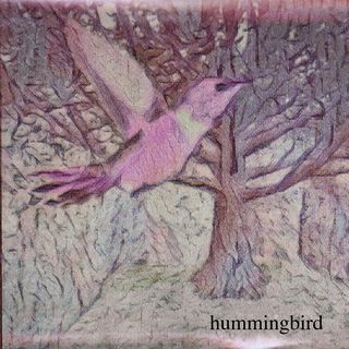 Hummingbird.jpg